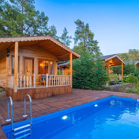 Blue Life Отель типа 