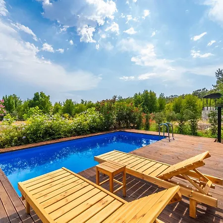 Oda ve Kahvaltı Blue Life