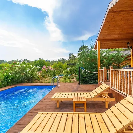 Oda ve Kahvaltı Blue Life *