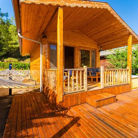 Blue Life * Фетхие