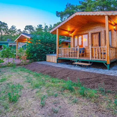 Blue Green Life Bungalow Bed & Breakfast Fethiye