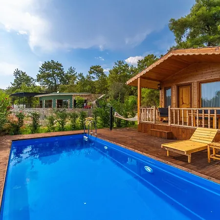 Blue Life פאטהיה