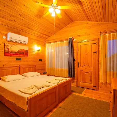 Blue Life フェティエ