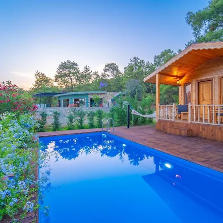 Blue Life ベッド・アンド・ブレックファスト フェティエ