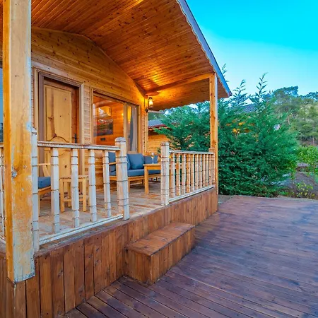 ベッド・アンド・ブレックファスト Blue Life *