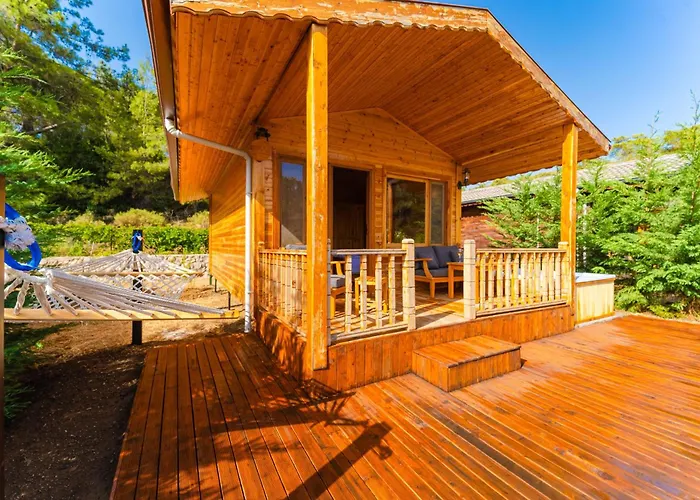 Blue Life * 페티예