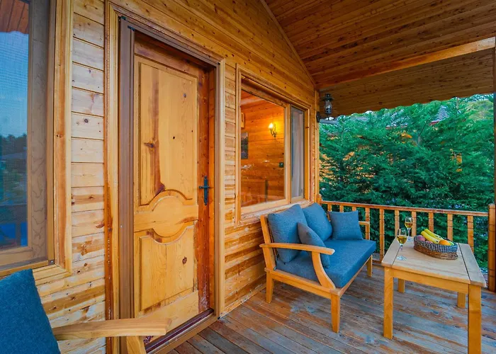 B&B Blue Life 페티예