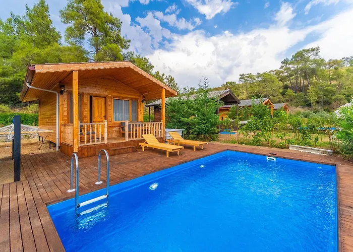 Blue Life * 페티예