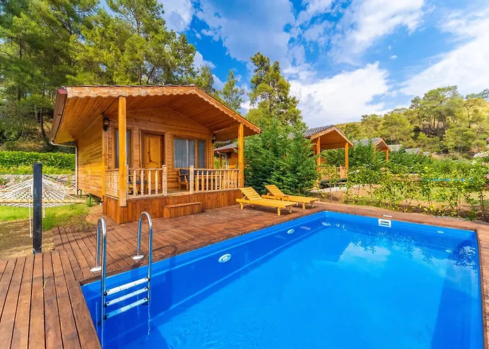 Blue Life * 페티예